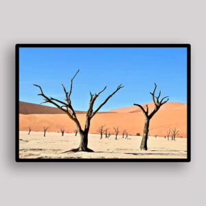 Desert Tree Garden