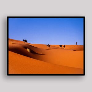 Dune Camel Caravan