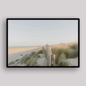 Dune Fence Path