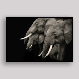 Elephant Family Portrait