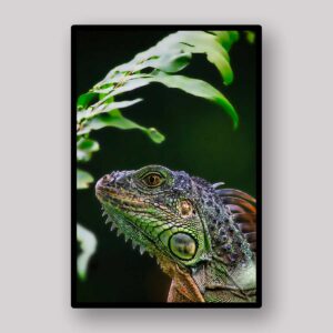 Emerald Iguana Portrait