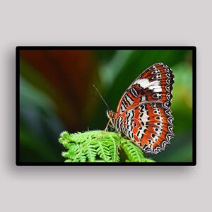 Fern Butterfly Rest