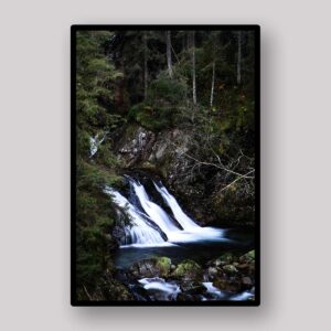 Forest Cascade Stream