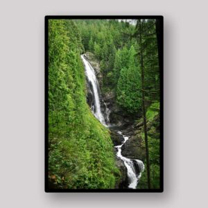 Forest Ribbon Falls