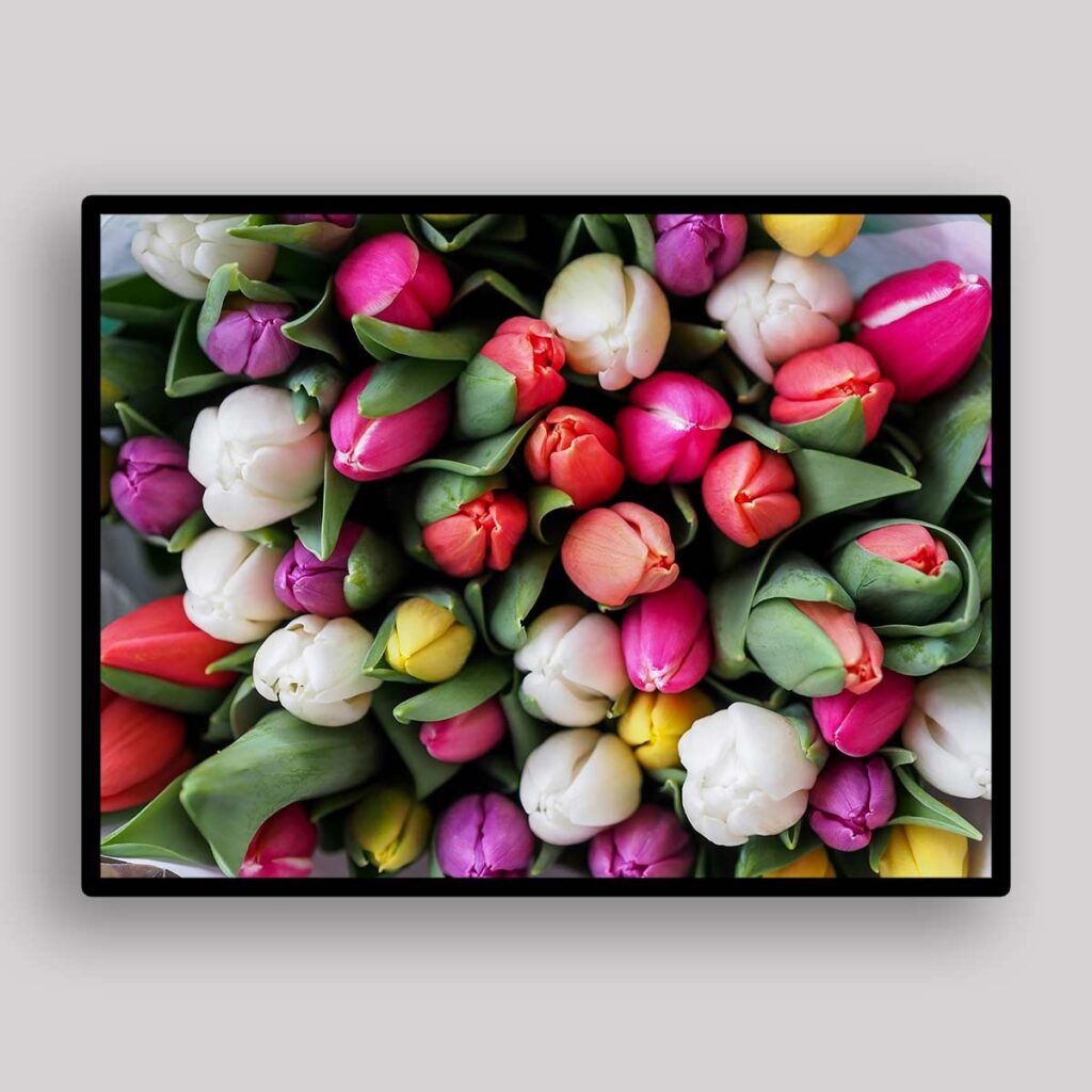 Fresh Tulip Bouquet