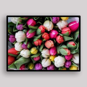 Fresh Tulip Bouquet