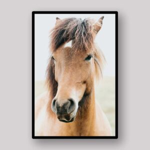 Gentle Pony Portrait