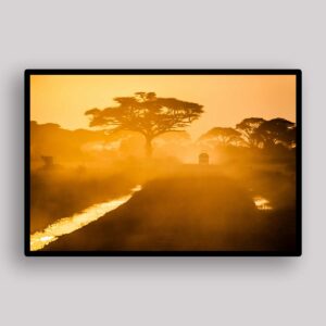 Golden Mist Grove