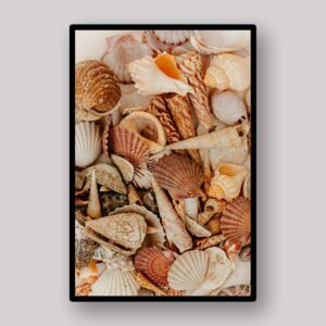 Golden Shell Medley