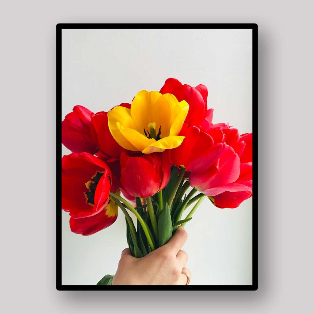 Handheld Tulip Bunch