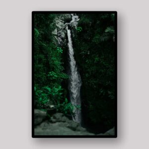 Hidden Jungle Falls