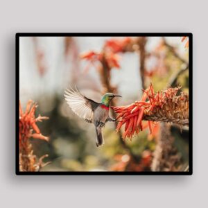 Hummingbird Floral Hover
