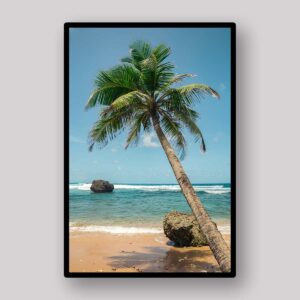 Leaning Palm Shore