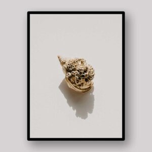 Minimal Shell Study