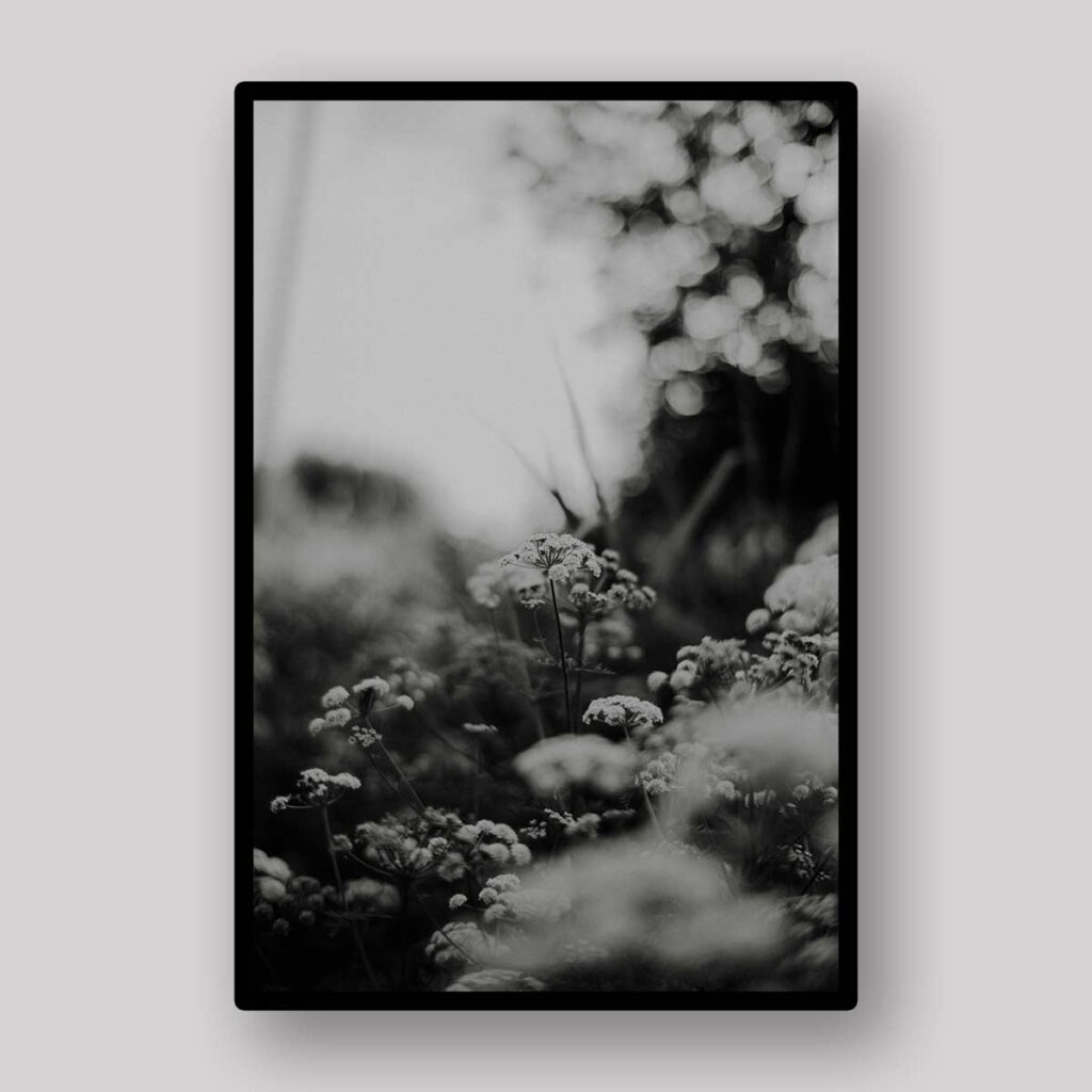 Monochrome Forest Blossoms
