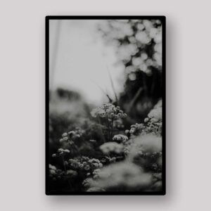 Monochrome Forest Blossoms