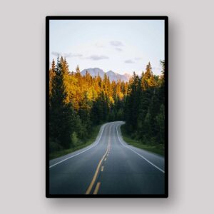 Open Forest Road
