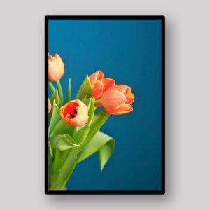 Orange Tulip Pair