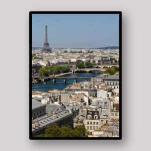 Paris Rooftop View