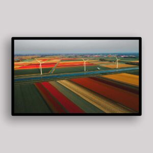 Patchwork Wind Fields