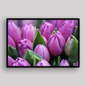 Purple Tulip Cluster