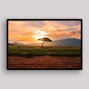 Savanna Sunset Tree