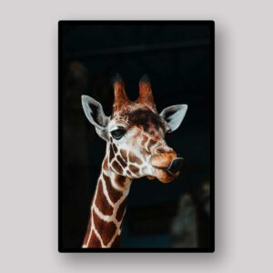 Shadow Giraffe Portrait