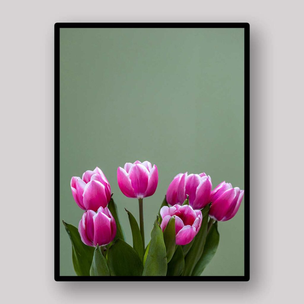 Simple Tulip Bouquet