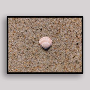 Single Shell Study