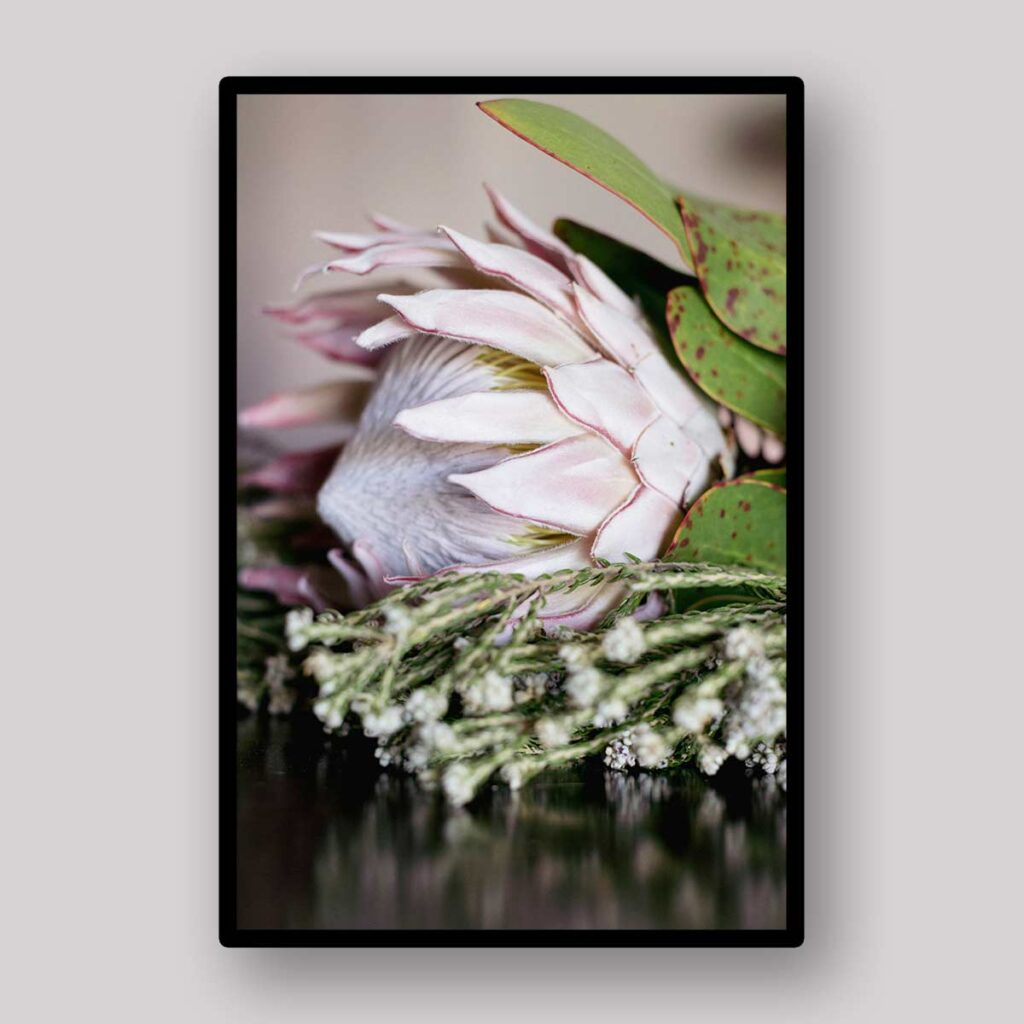 Soft Protea Arrangement