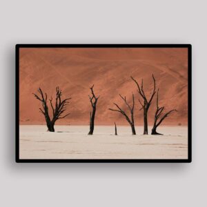 Sossusvlei Tree Line