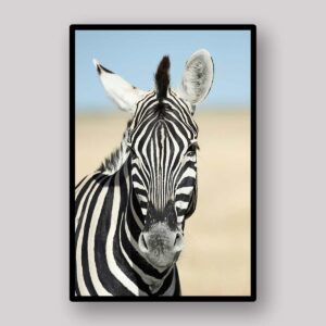 Striped Zebra Portrait