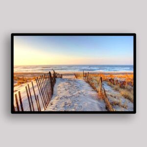 Sunlit Dune Path