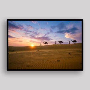 Sunset Camel Line