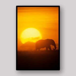 Sunset Elephant Silhouette