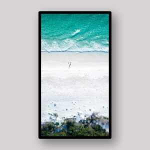 Tiny Turquoise Swimmers