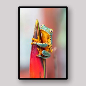 Tropical Frog Perch