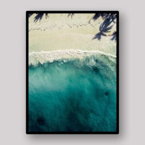 Tropical Shore Aerial