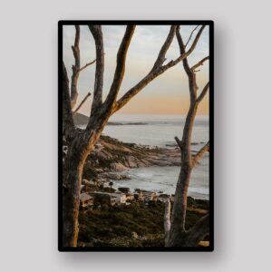 Twilight Shore Trees