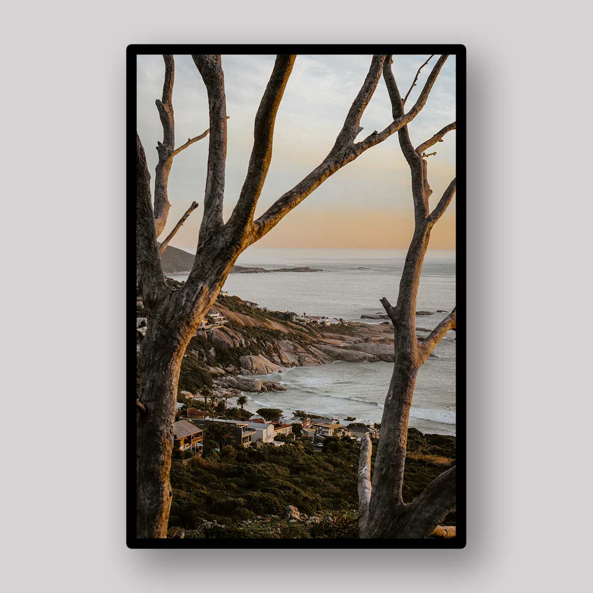 Twilight Shore Trees