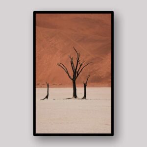 Two Desert Trees