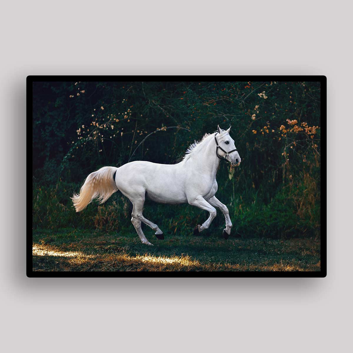 White Horse Run