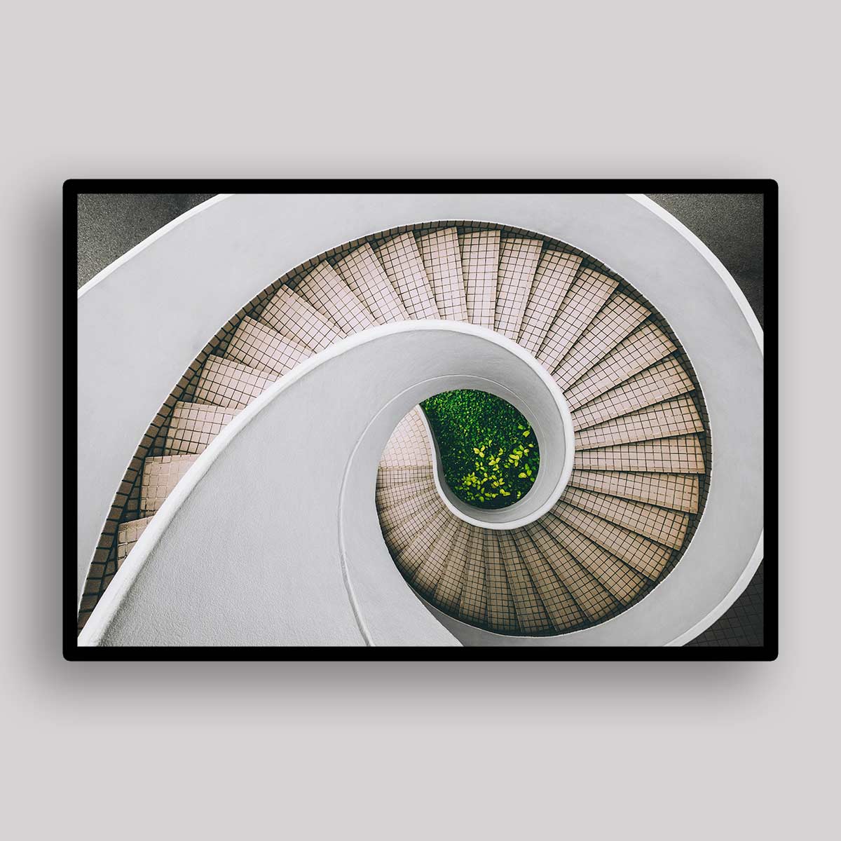 White Spiral Garden